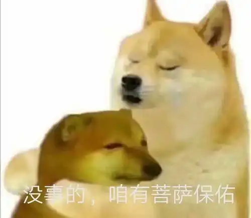 稳稳的接住柴犬表情包ch