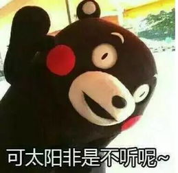  执灬化了出门五分钟,流汗两小时,这56首歌可以表达我忒热