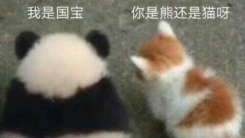  黑尾酱我要疯狂吸吸吸吸它的小肚子rua