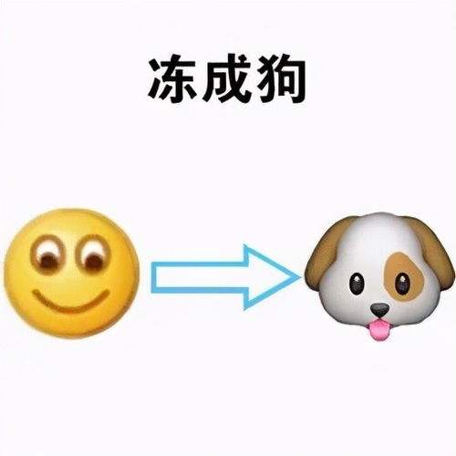  冷冷冷雨雨雨重庆气温最低只有3但是接下来将有大反转
