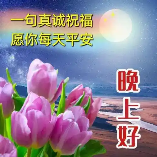 关于晚安的图片表情包祝