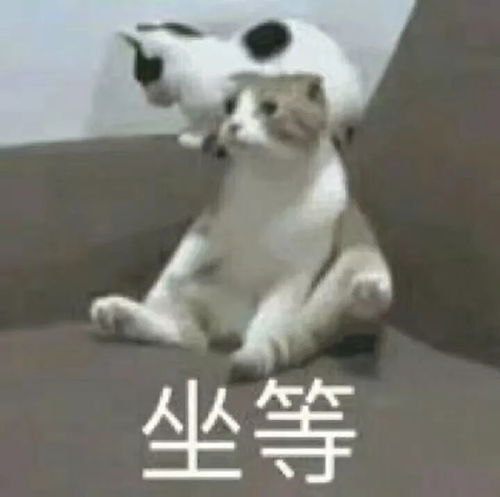  孩子静悄悄,必定在作妖