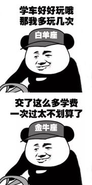  12星座驾校学车的区别,来来来,对号入座哈哈哈哈哈哈