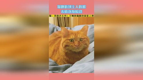 咳嗽图片 表情包猫咪