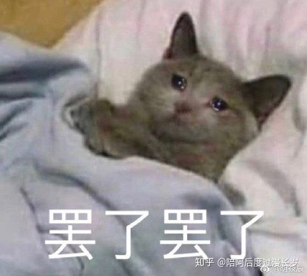  有什么和坏坏猫差不多的搜索引擎