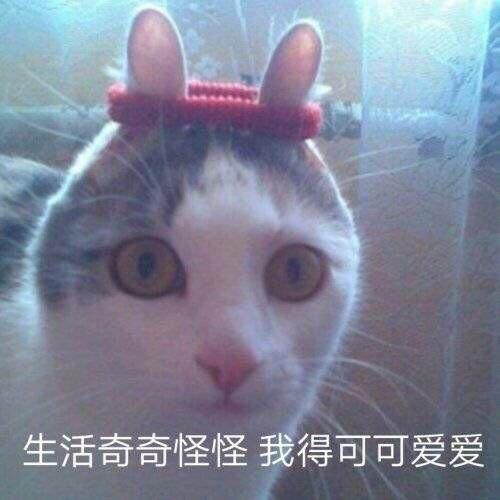 太那个了吧表情包哈哈哈