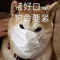 轨迹公布厦门境外输入确诊11,10例为印度籍,均为日本输入刚刚,此地疫情再上热搜...隔离