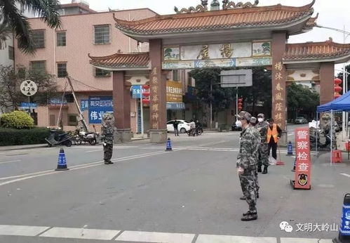  共同战疫大岭山迷彩帅哥投身阻击战构筑防护屏障