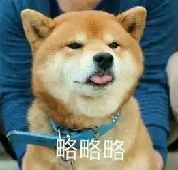  柴犬略略略表情包