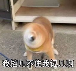  出国留学生病了,语言不通怎么破听说有个英语不好的已经被吃掉了