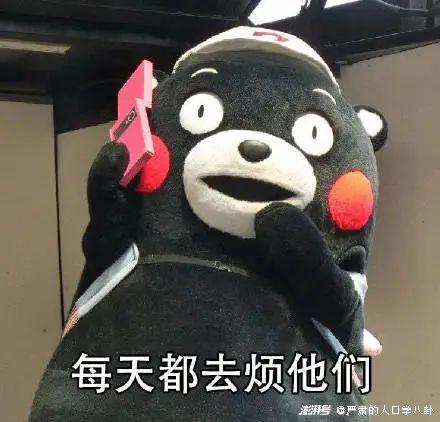  父母为何会催婚中国的大龄未婚与父母焦虑的关系