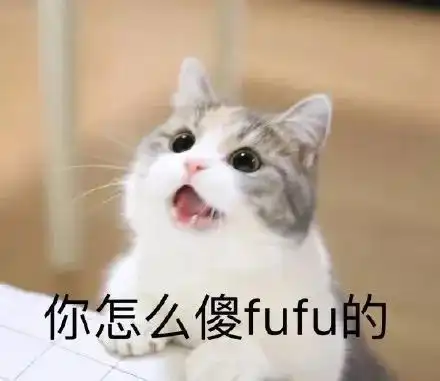  猫咪表情包情侣单人