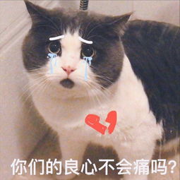  小学生vs中国大妈,又一次被赶上绝路,网友你的良心不痛吗