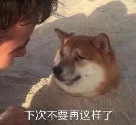  有哪些适合期末学习发的沙雕表情包