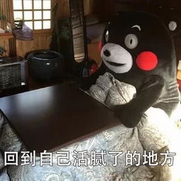  好玩表情图口袋空空