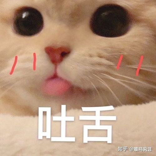  萌新打本记录更新中