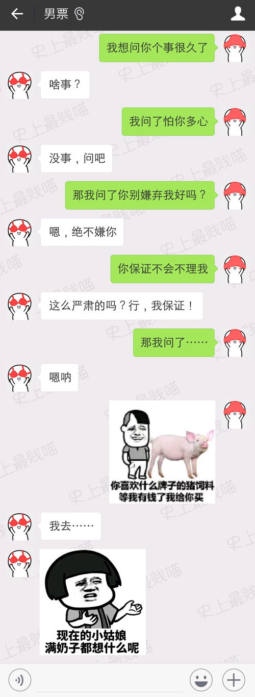  现在情侣都这么聊天吗看完以后献上膝盖