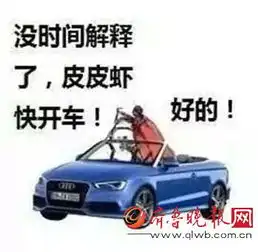  皮皮虾我们走pk小拳拳锤你胸口你更喜欢哪个