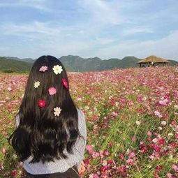  独一无二的女生背影头像小清新意境单身只为等某个人