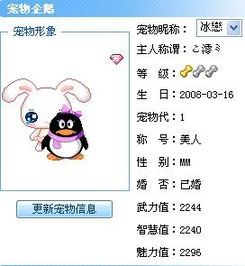  qq宠物企鹅gg征婚