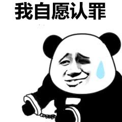 让我看看表情包微信