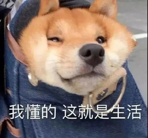  大学宿舍环境能有多幻灭全国最差大学宿舍受害者交流会