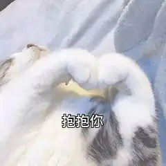  你用过哪些超级暖的安慰人的表情包