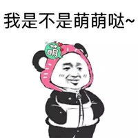  熊猫插兜穿衣服表情包免费下载熊猫插兜穿衣服表情包高清无水印极光下载站