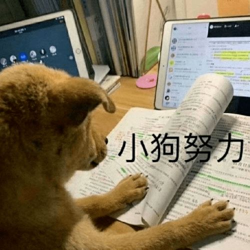  重磅2021年qs世界大学学科排名发布为什么这份排名含金量高
