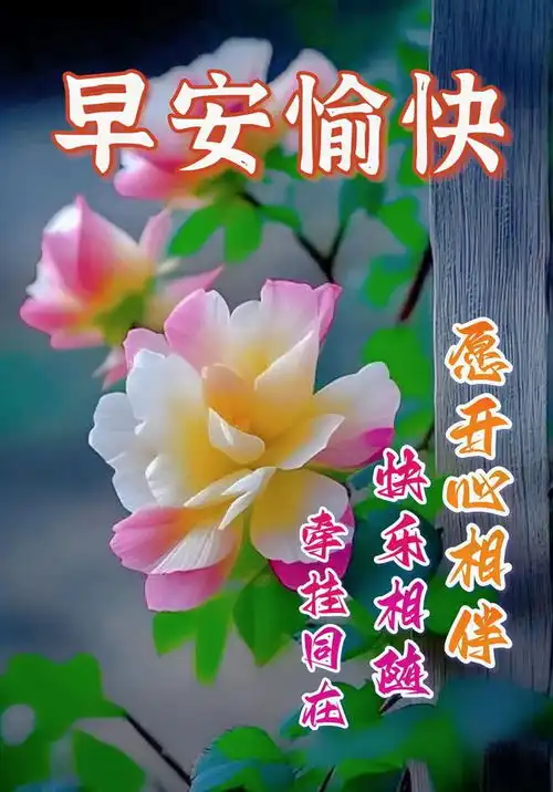  晚上好动态带字图片晚安图片表情包