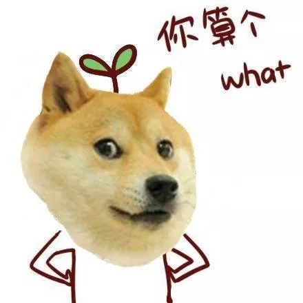 vibing猫表情包状态