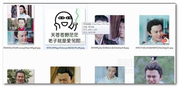  长得好看的都是广平王妃表情资源下载包长得好看的都是广平王妃表情包无水印版jz5u绿色下载站