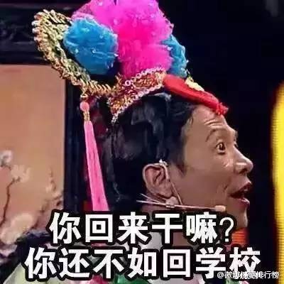  暑假过半,开始被嫌弃了小薇给你支招