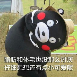  适合天气冷的时候发的搞笑表情包