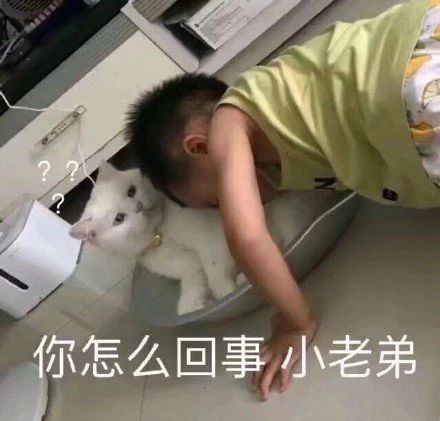  撩骚表情包拿图片我不管,要亲亲