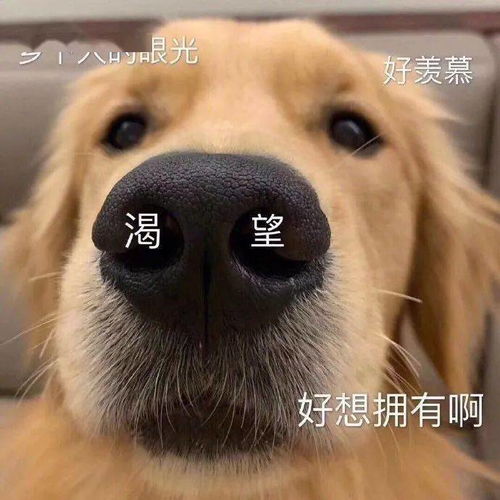  千万别买这种马丁靴显矮显腿粗