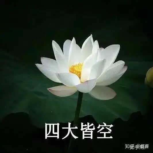  为什么现在blackpink的成员只有jennie被黑的很惨