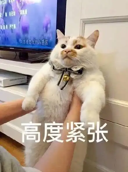 一只白猫旁边一个问号的