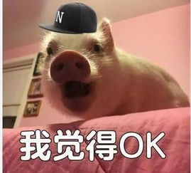  明星隐藏技能大公开宋仲基是短道速滑运动员,ab一幅画卖18万