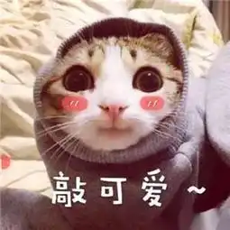  国家发布重磅消息还没生孩子的茂名人恭喜了