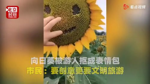  10月9日,安徽省徽州区