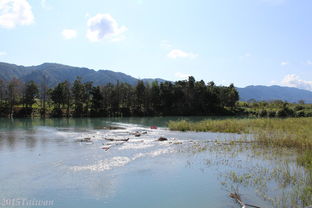  两个20岁女生的台湾12天顺时针环岛之旅刀妹阿萌