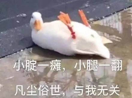 摸摸不哭的表情包不哭