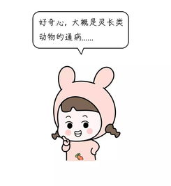  为什么扣完脚趾总想闻闻2017奇葩搜索报告出炉,你肯定偷偷搜过每日一笑854期