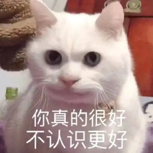塑料袋套猫头表情包