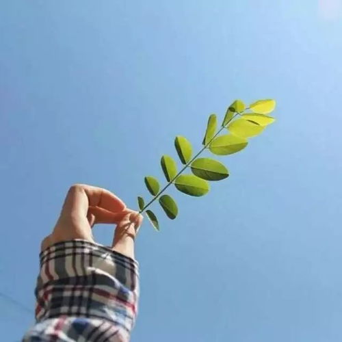  医疗知识竞赛