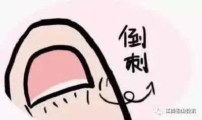 谨言慎行图片表情包皮甲