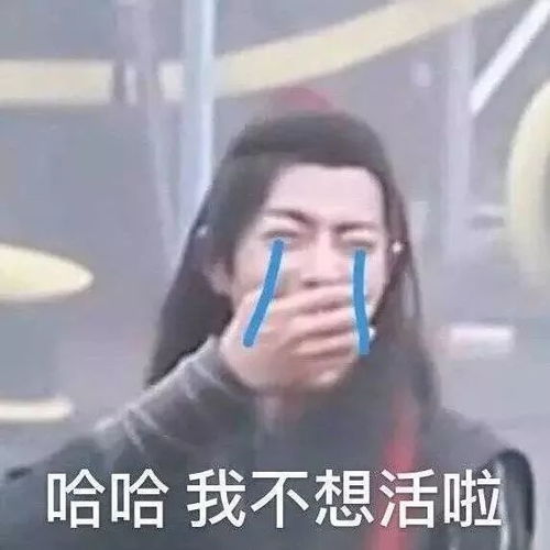  表情包今日份表情包