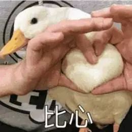  谁说写公众号的人,不配有爱情