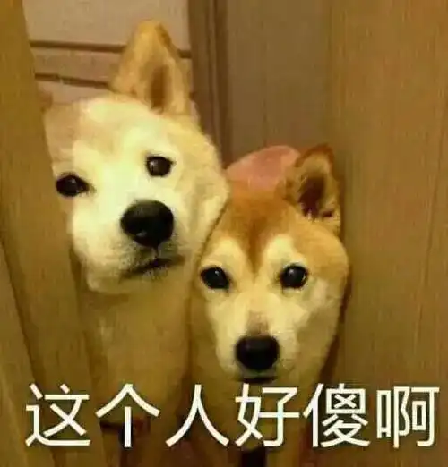 一起玩游戏表情包小狗
